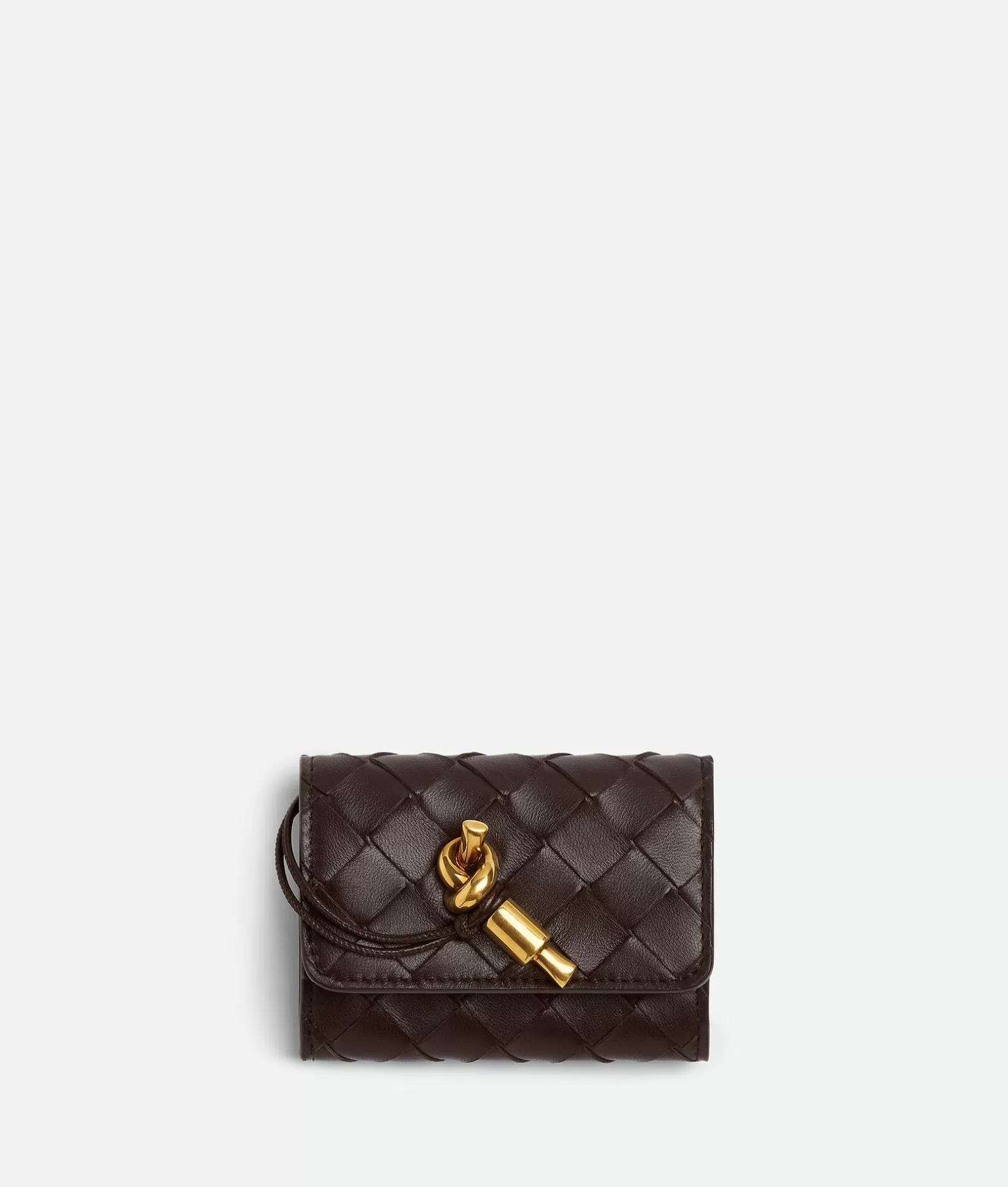 Card Cases>Bottega Veneta Andiamo Small Envelope Fondant