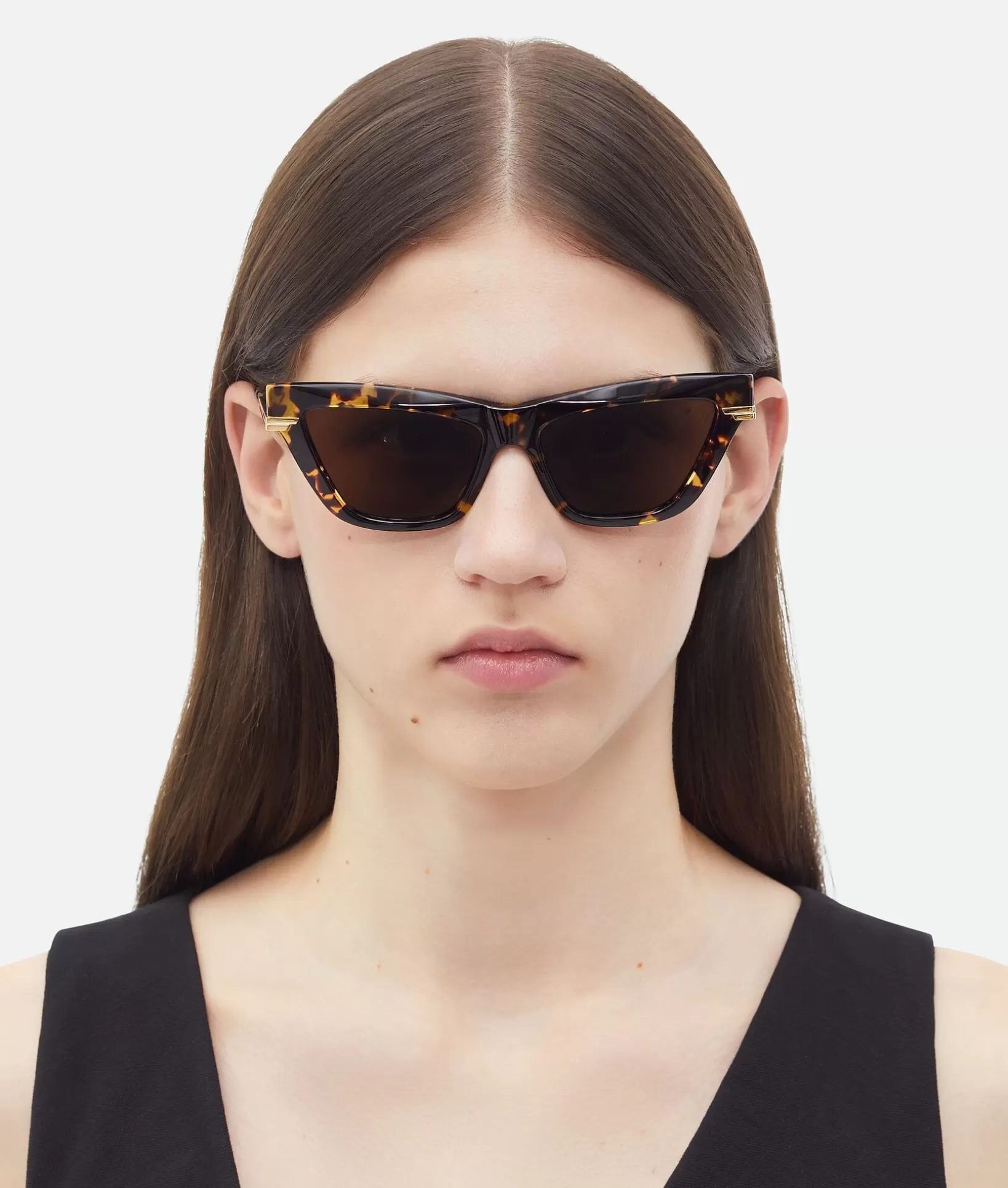 Sunglasses | Sunglasses>Bottega Veneta Classic Acetate Cat Eye Sunglasses Havana / Gold / Brown