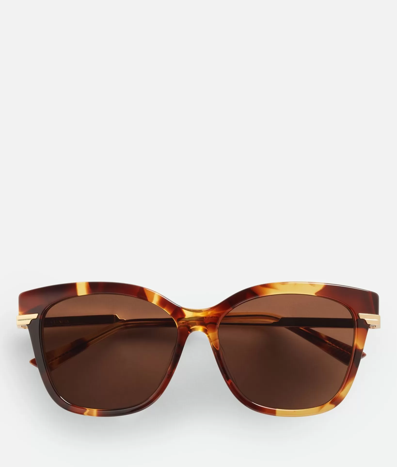 Sunglasses>Bottega Veneta Classic Square Sunglasses Havana/brown