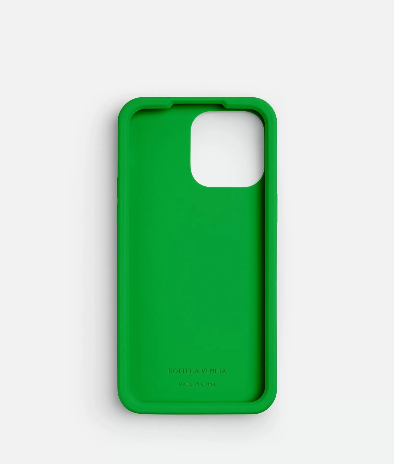 Tech>Bottega Veneta IPhone 15 Pro Max Case Parakeet