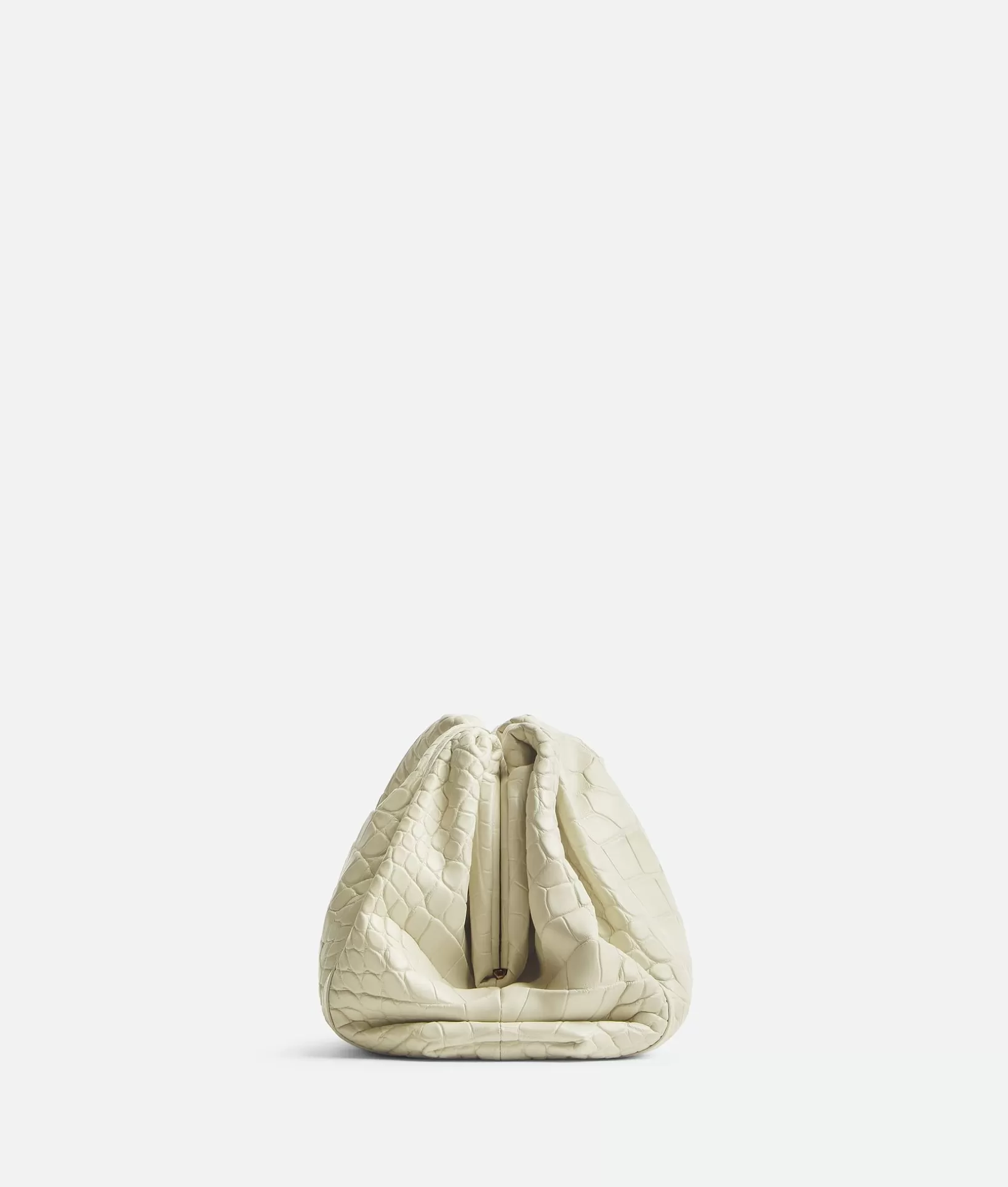 Clutch>Bottega Veneta Pouch Plaster