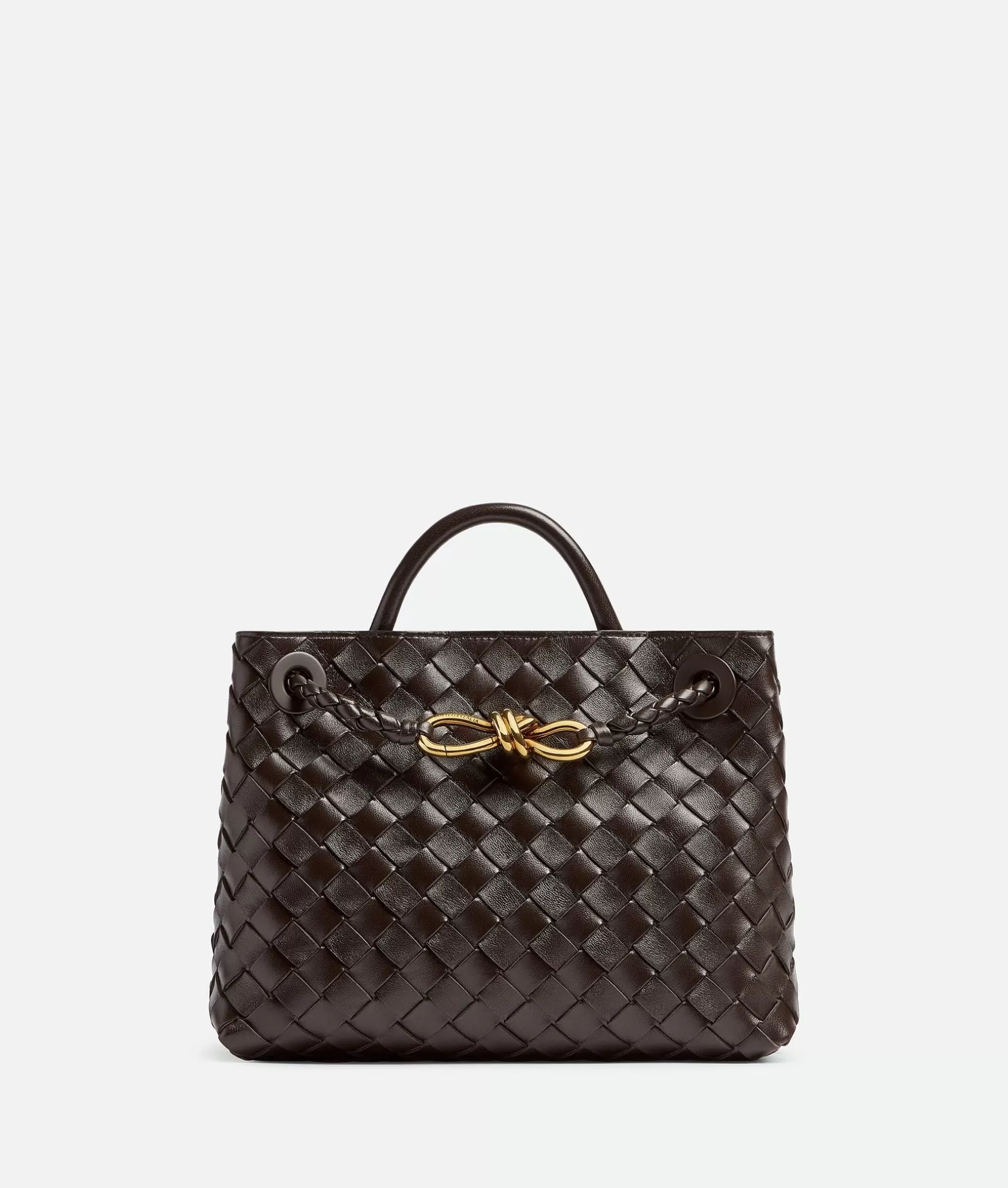 Handle>Bottega Veneta Small Andiamo Fondant